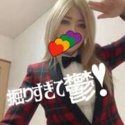 ヒメ日記 2026/02/18 16:20 投稿 ときこ 石庭