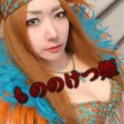 ヒメ日記 2026/02/18 19:30 投稿 ときこ 石庭