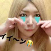 ヒメ日記 2026/02/19 17:00 投稿 ときこ 石庭