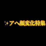 ヒメ日記 2026/03/18 00:50 投稿 ときこ 石庭