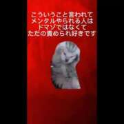 ヒメ日記 2026/03/18 18:00 投稿 ときこ 石庭