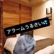 ヒメ日記 2026/03/19 08:08 投稿 ときこ 石庭