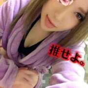 ヒメ日記 2026/03/21 12:10 投稿 ときこ 石庭