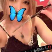 ヒメ日記 2026/03/22 19:00 投稿 ときこ 石庭