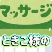 ヒメ日記 2026/03/23 11:40 投稿 ときこ 石庭