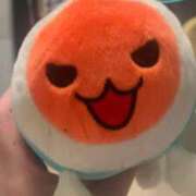 ヒメ日記 2026/03/23 22:10 投稿 ときこ 石庭