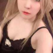 ヒメ日記 2026/04/22 11:24 投稿 ときこ 石庭