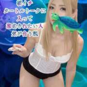 ヒメ日記 2026/04/22 14:30 投稿 ときこ 石庭