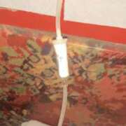 ヒメ日記 2026/04/22 21:21 投稿 ときこ 石庭