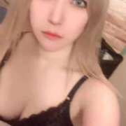 ヒメ日記 2026/04/23 11:59 投稿 ときこ 石庭