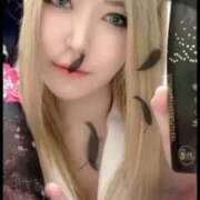 ヒメ日記 2026/04/23 18:21 投稿 ときこ 石庭