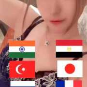 ヒメ日記 2026/04/23 21:20 投稿 ときこ 石庭