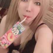 ヒメ日記 2026/04/24 23:20 投稿 ときこ 石庭