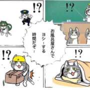 ヒメ日記 2026/05/23 08:34 投稿 ときこ 石庭