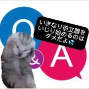 ヒメ日記 2026/05/24 12:23 投稿 ときこ 石庭