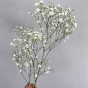 ヒメ日記 2026/03/04 17:10 投稿 ゆうな ハッピーハウス