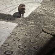 ヒメ日記 2026/03/08 12:34 投稿 そら チェックイン横浜女学園