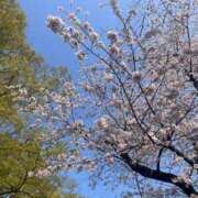 そら 新年度 チェックイン横浜女学園