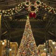 ヒメ日記 2025/12/24 19:38 投稿 なな 成田富里インターちゃんこ