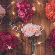 あやめ 【お礼写メ日記】 横浜人妻花壇本店