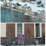 ヒメ日記 2026/01/19 15:01 投稿 みく(昭和51年生まれ) 熟年カップル名古屋～生電話からの営み～