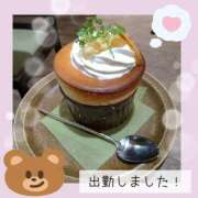 ヒメ日記 2026/02/19 18:08 投稿 えりな プレジデントオアシス