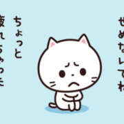 ヒメ日記 2025/11/14 14:19 投稿 こい【ご奉仕中濡れ濡れ変態娘】 セクシャル