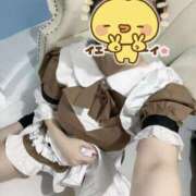 ヒメ日記 2026/03/14 16:11 投稿 こい【ご奉仕中濡れ濡れ変態娘】 セクシャル