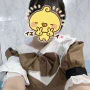 ヒメ日記 2026/03/27 21:49 投稿 こい【ご奉仕中濡れ濡れ変態娘】 セクシャル