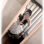 ヒメ日記 2026/04/28 09:52 投稿 なぎさ チェリーデイズ