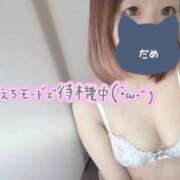 ヒメ日記 2026/01/28 11:57 投稿 りお ちょこMOCA