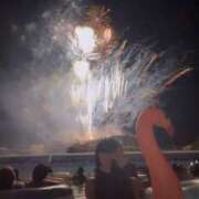 セリ おはようございます🌅 ビギナーズ和歌山