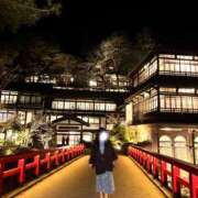 ヒメ日記 2026/05/20 00:01 投稿 セリ ビギナーズ和歌山