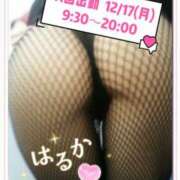 水野 はるか 次回出勤日.... こあくまな熟女たち 本厚木店(KOAKUMAグループ)