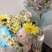 ヒメ日記 2026/01/31 11:15 投稿 瀬那(せな) 大牟田デリヘル倶楽部