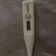 ヒメ日記 2025/11/23 10:59 投稿 アン(奥方) 奥様幕府