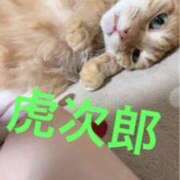 ヒメ日記 2026/06/07 16:46 投稿 すず 熟女の風俗最終章 高崎店