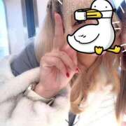 ヒメ日記 2025/11/18 12:28 投稿 ラブ ダイスキ