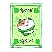 ヒメ日記 2025/11/15 00:29 投稿 くるみ サティアンまーと