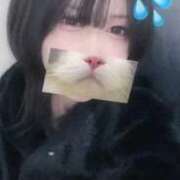 ヒメ日記 2025/12/15 14:19 投稿 くるみ サティアンまーと