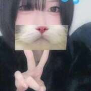 ヒメ日記 2025/12/16 13:26 投稿 くるみ サティアンまーと