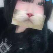 ヒメ日記 2026/01/22 15:49 投稿 くるみ サティアンまーと