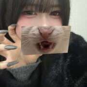 くるみ わー サティアンまーと