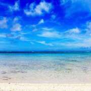 ヒメ日記 2025/11/20 10:37 投稿 いぶ 奥様なでしこ