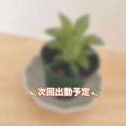 ヒメ日記 2025/12/02 00:57 投稿 いぶ 奥様なでしこ