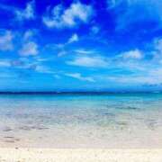 ヒメ日記 2025/12/19 10:27 投稿 いぶ 奥様なでしこ