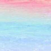 ヒメ日記 2025/12/27 11:46 投稿 いぶ 奥様なでしこ