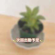 いぶ 出勤予定変更のお知らせ🔔 奥様なでしこ