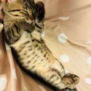 ななみ ななみ（clubさくら京橋店） clubさくら京橋店