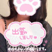 このえ このえです！ ハピネス東京